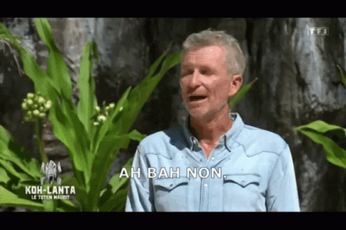 Denis Brogniart GIF
