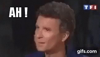 Denis Brogniart Ok GIF