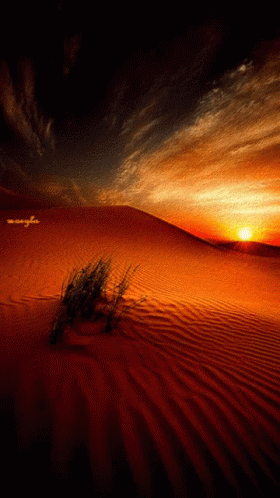 Desert GIF