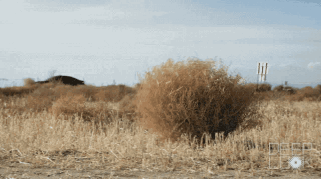 Deserted GIF