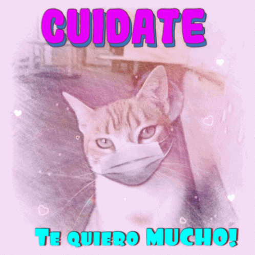 Despedida Saludo GIF