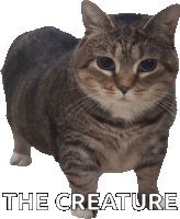 Dessi Dessi Allison Sticker