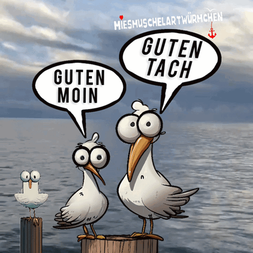Dialekt Meer GIF