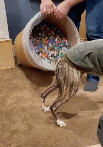 Dice Barrel GIF