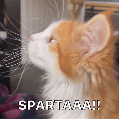 Diekatzlei Die Katzlei GIF