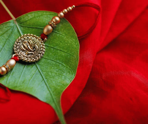 Digitalbharati Digitalrakhi GIF