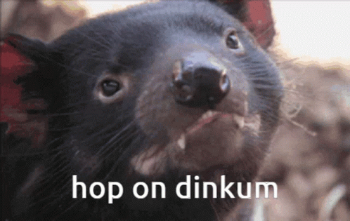 Dinkum Hop On Dinkum GIF
