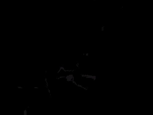 Dio-brando Jojo GIF