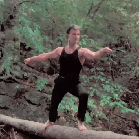 Dirty Dancing Dirty Dancing Movie GIF