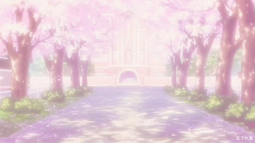 Discord Banner GIF