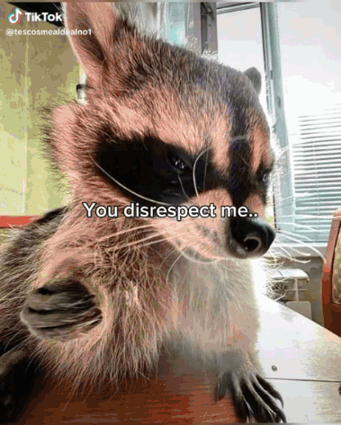 Disrespect Raccoon GIF