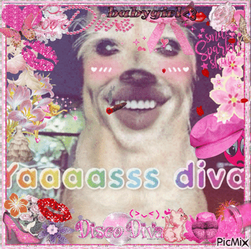 Diva Pruppl GIF