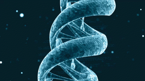 Dna Deoxyribonucleic Acid GIF