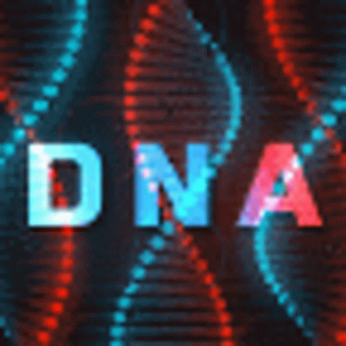 Dna Discord GIF