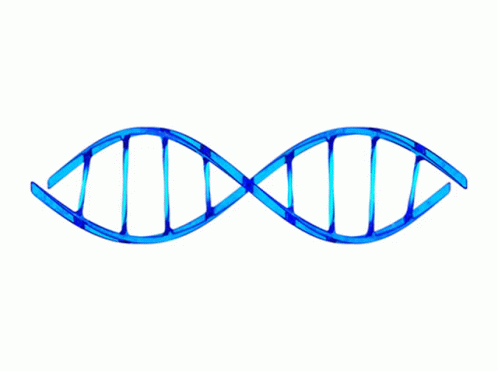 Dna Spinning GIF