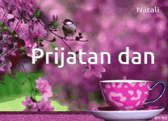 Dobar Dan GIF