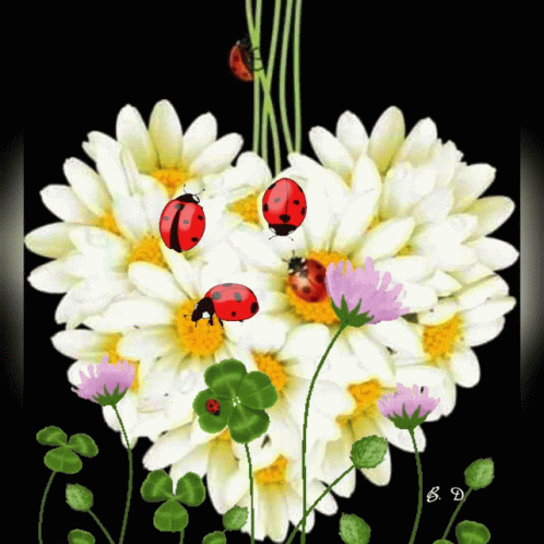 Dobro Jutro GIF