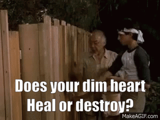 Does Your Dim Heart Heal Or Destroy Dmc GIF