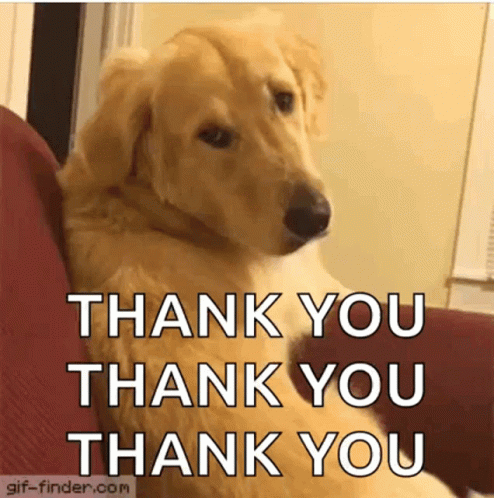 Dog Bark GIF