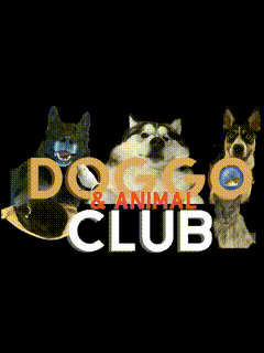 Dog Bear GIF