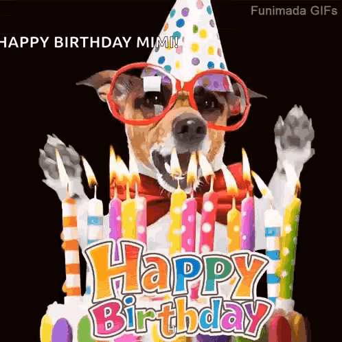 Dog Birthday GIF