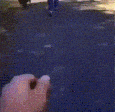 Dog Cat GIF