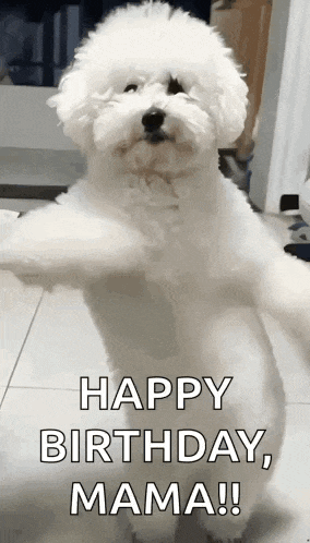 Dog Dance GIF