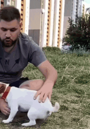 Dog Dog Backflip GIF