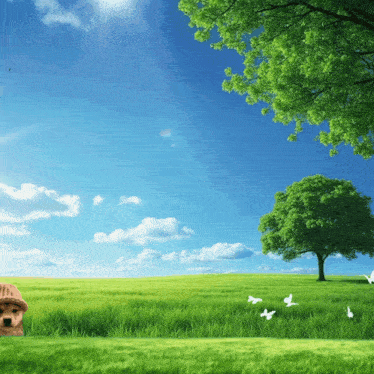 Dog Dog Walk GIF