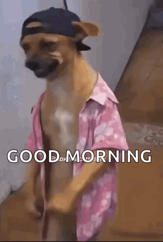Dog Dog Walking GIF