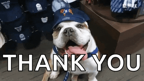 Dog Dogs GIF