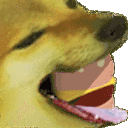 Dog Eating Burger Dog Sticker