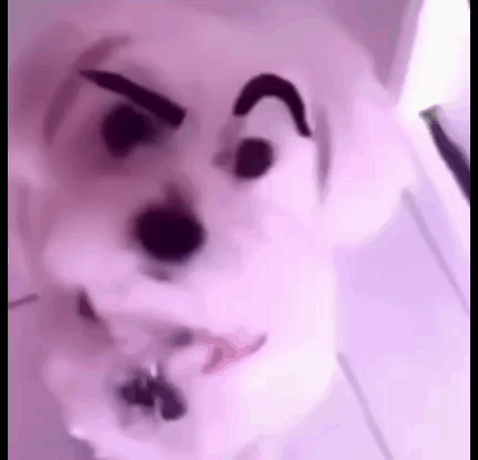Dog Eyebrows GIF