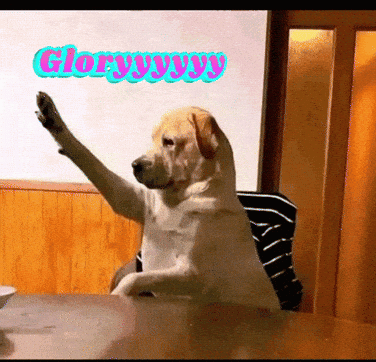 Dog Meme Funny Dog Meme GIF