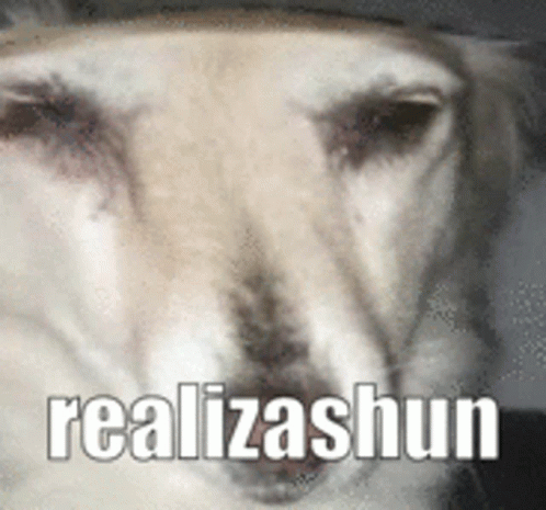 Dog Meme GIF
