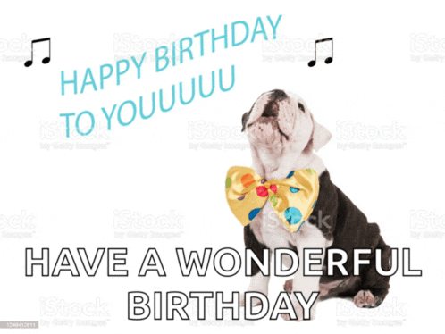 Dog Meme