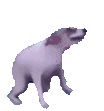 Dog Puppy Sticker