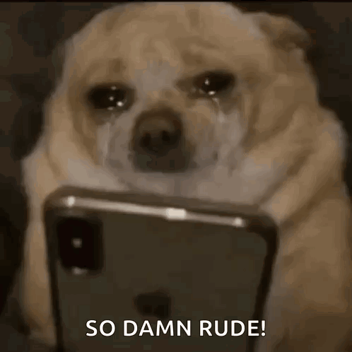 Dog Scroll GIF