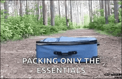 Dog Suitcase GIF