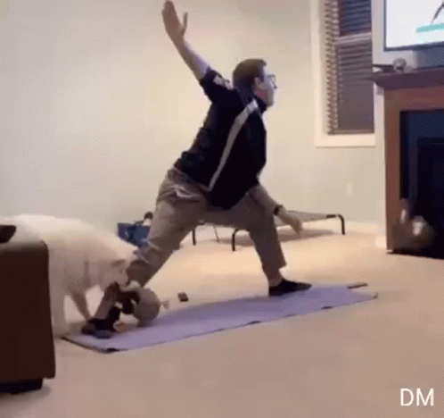 Dog Yoga GIF