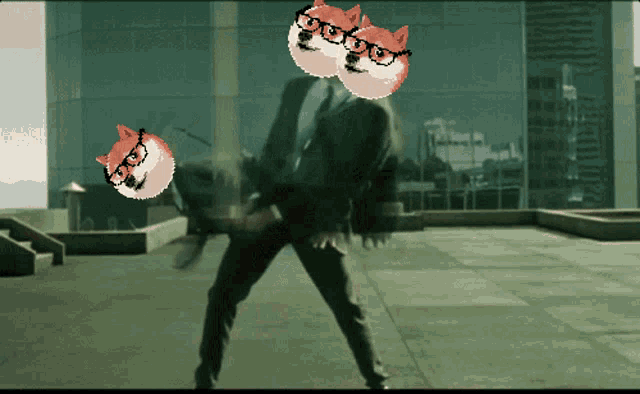 Doge Nope GIF