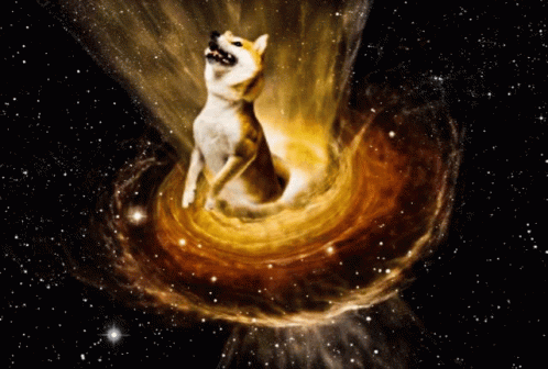 Doge Universe GIF
