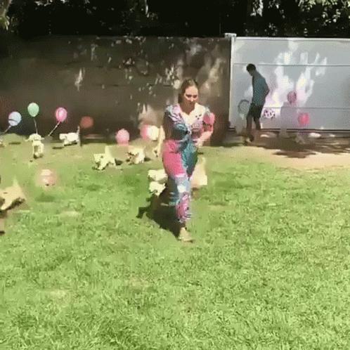 Dogs Happy Birthday GIF