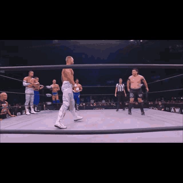 Dominic Garrini Dom Garrini GIF