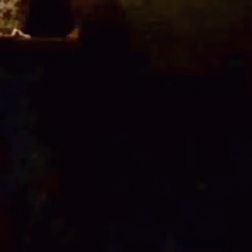 Don Corleone Film GIF