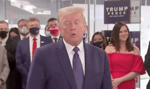 Donald Trump Donald GIF