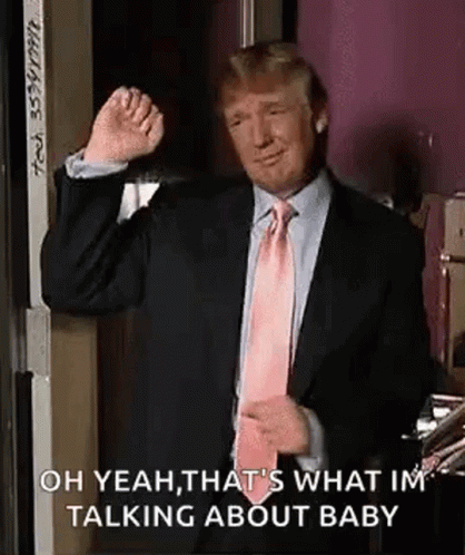 Donald Trump Trump GIF