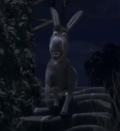 Donkey Shrek GIF