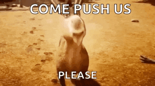 Donkey Smile GIF