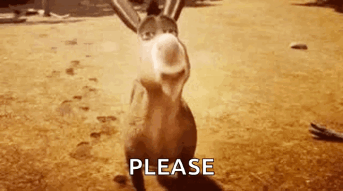 Donkey Smile GIF